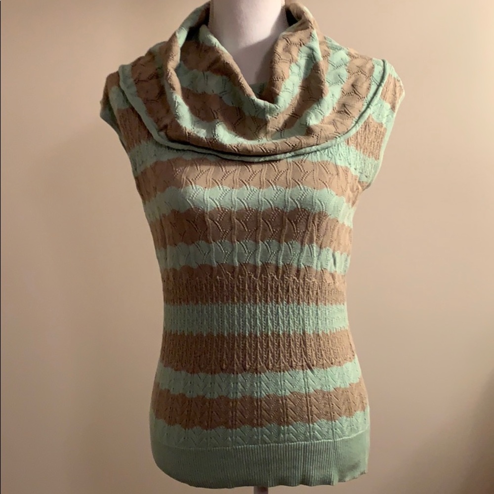 The Limited Mint/Taupe Striped Sweater XS
